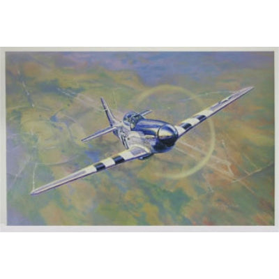P-51 "On the Range" Framed